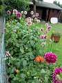 IMG_1078, (2)